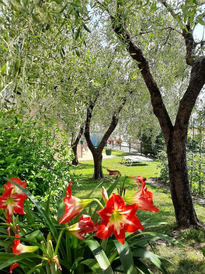 Apartment Maria Brenzone sul Garda Eksteriør billede