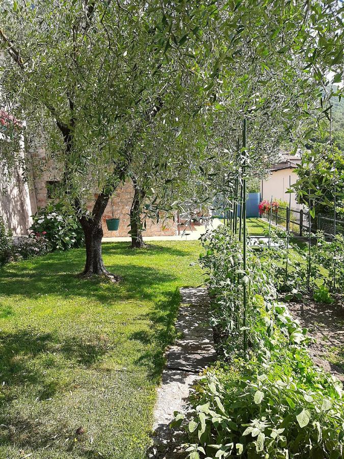 Apartment Maria Brenzone sul Garda Eksteriør billede